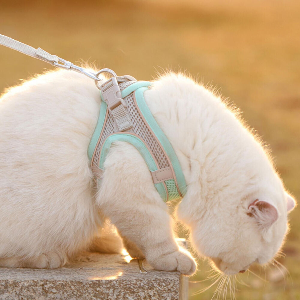 Cat Harness Leash Vest Set Escape Proof Adjustable Walking Collar Walk